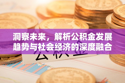 杭州洞察未来，解析公积金发展趋势与社会经济的深度融合
